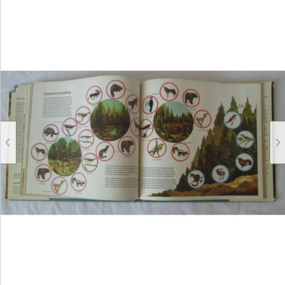 Illustrated Natural History of Canada Canadian Shield 1975 Nature Hardcover Book - Picture 2 of 5